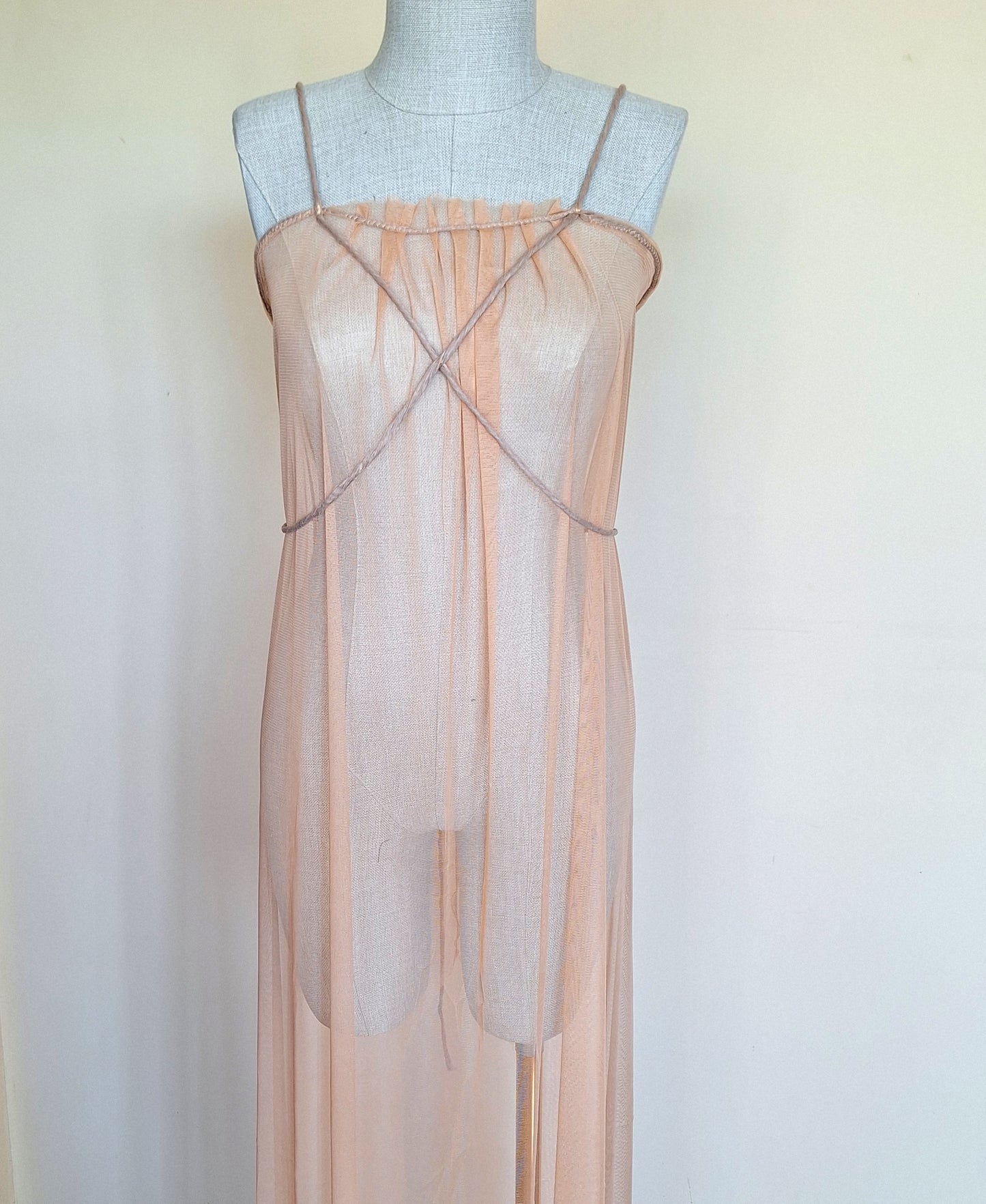 Sheer Transparent Tulle Dress