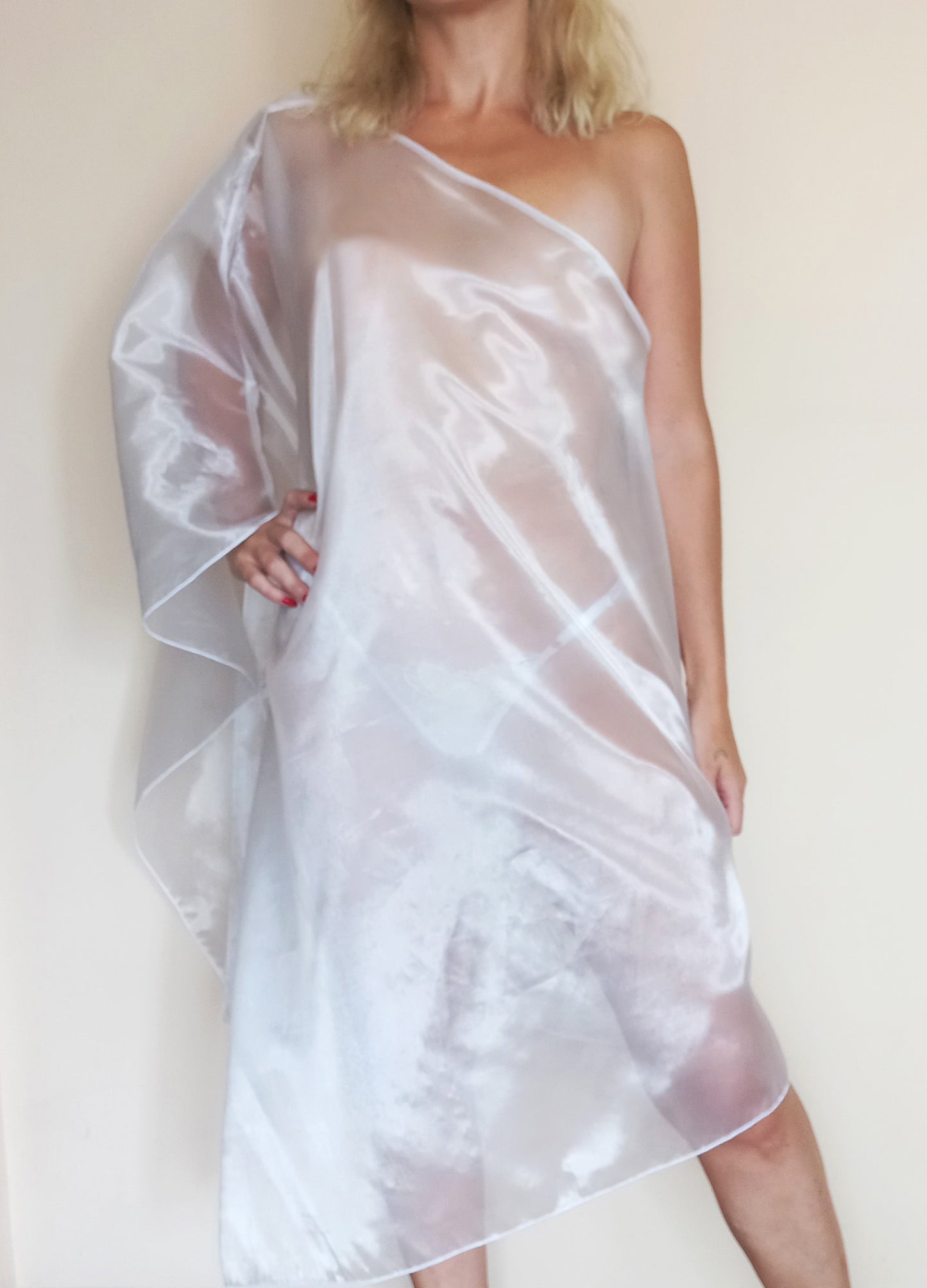 White Transparent Organza Dress